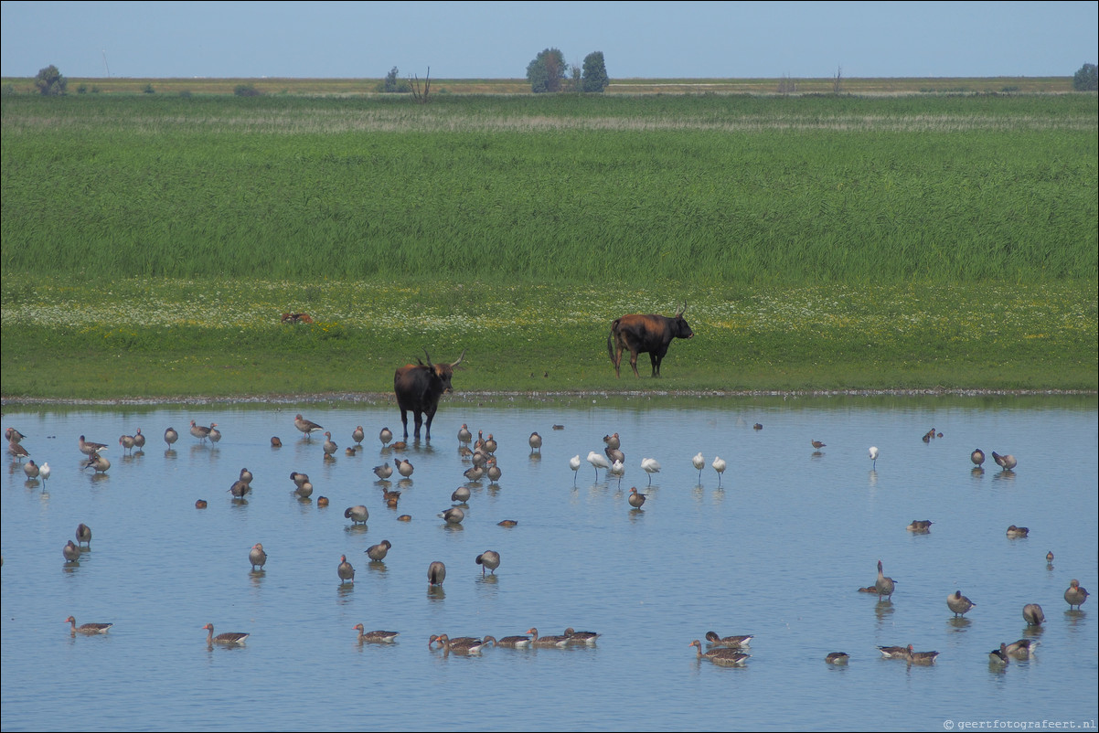 Wandeling Lelystad - Almere