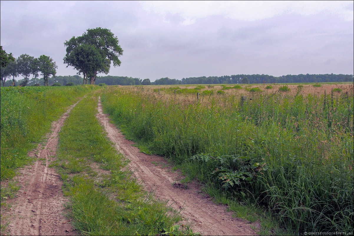 Wandeling Rolde - Glimmen