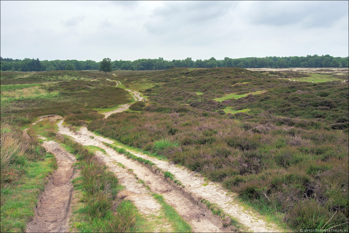 Wandeling Rolde - Glimmen