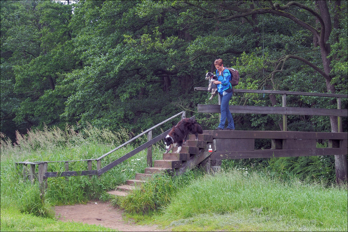 Wandeling Rolde - Glimmen