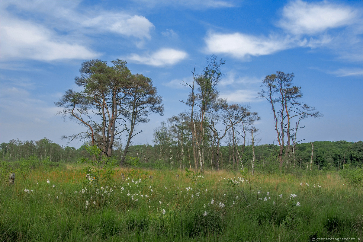 Wandeling Rolde - Glimmen