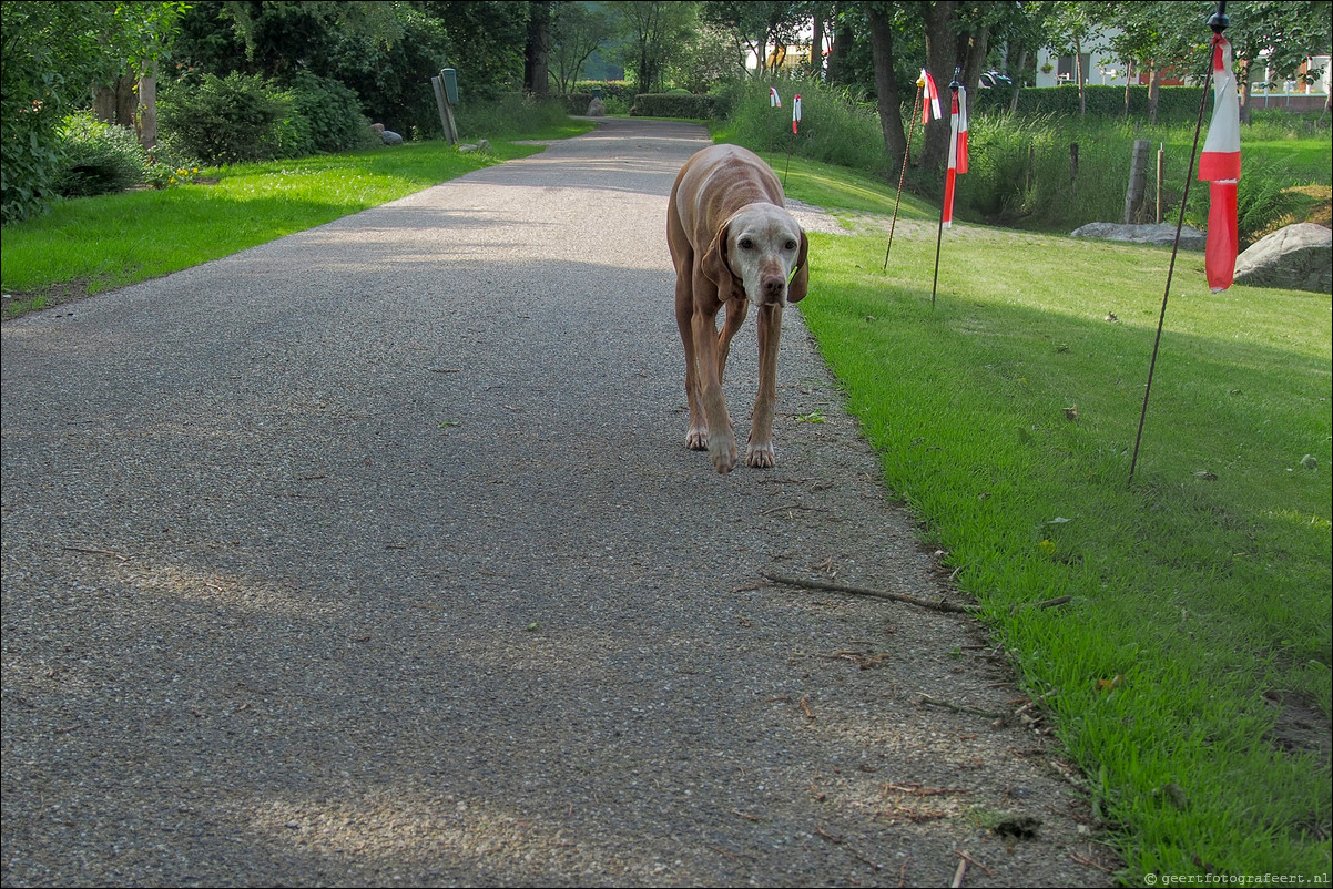 Wandeling Rolde - Glimmen