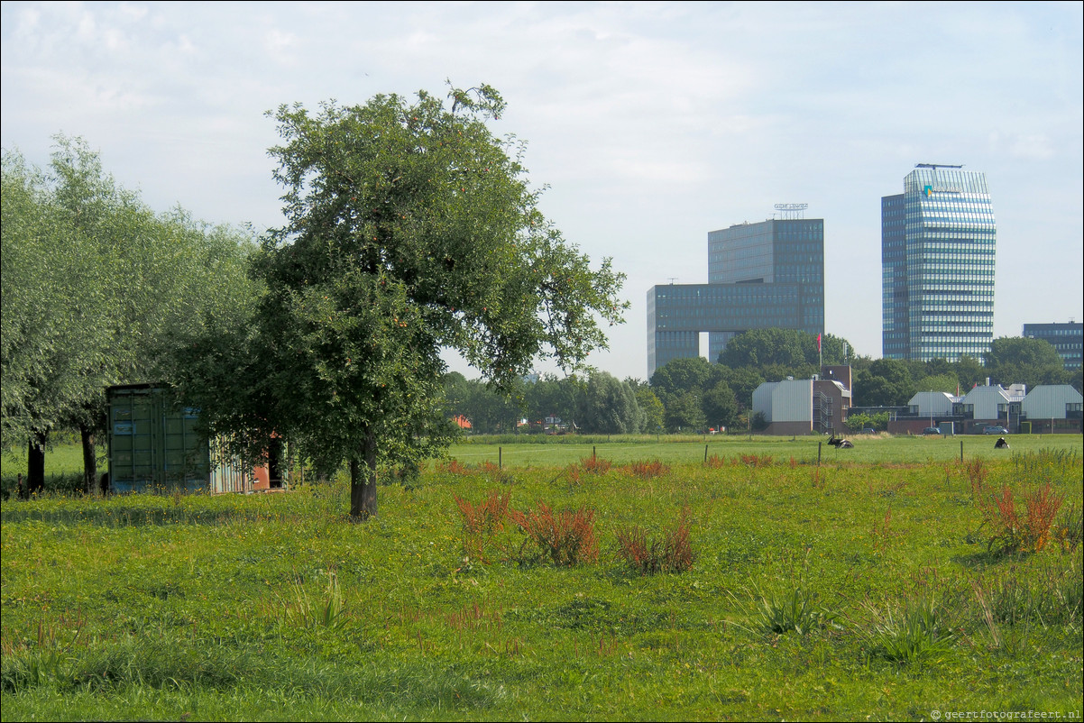 Wandeling Zwolle - Kampen-Zuid