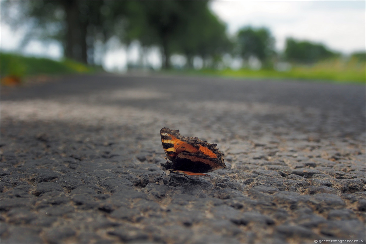 Wandeling Zwolle - Kampen-Zuid