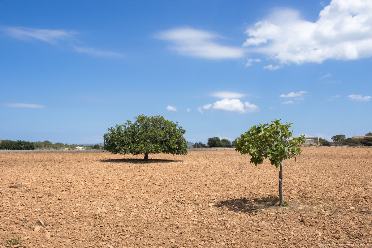 ibiza eiland Formentera