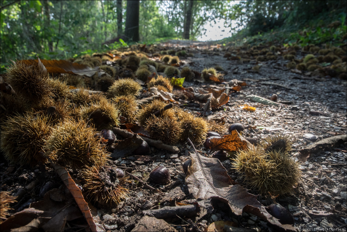 herfst