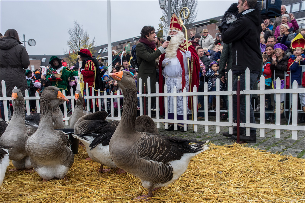 Intocht van Sinterklaas in Almere