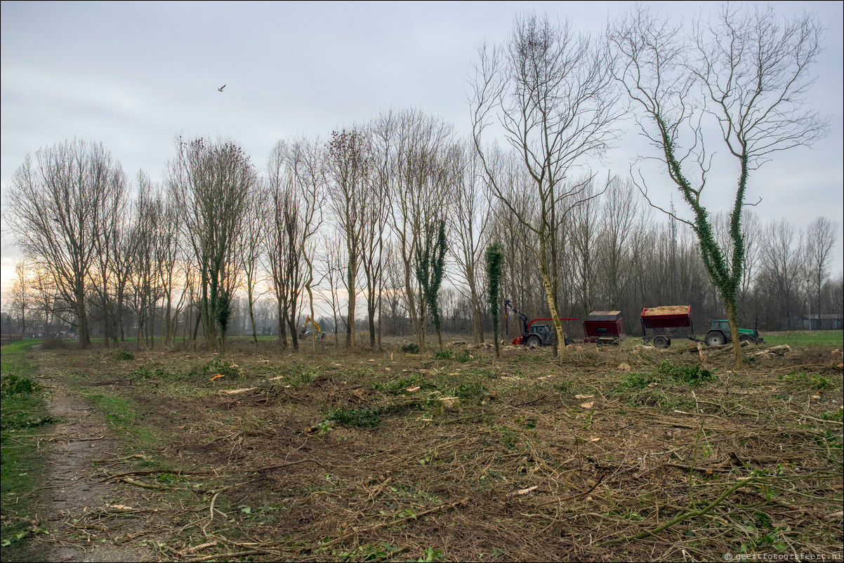 De Laren Wierdenpark Almere Haven