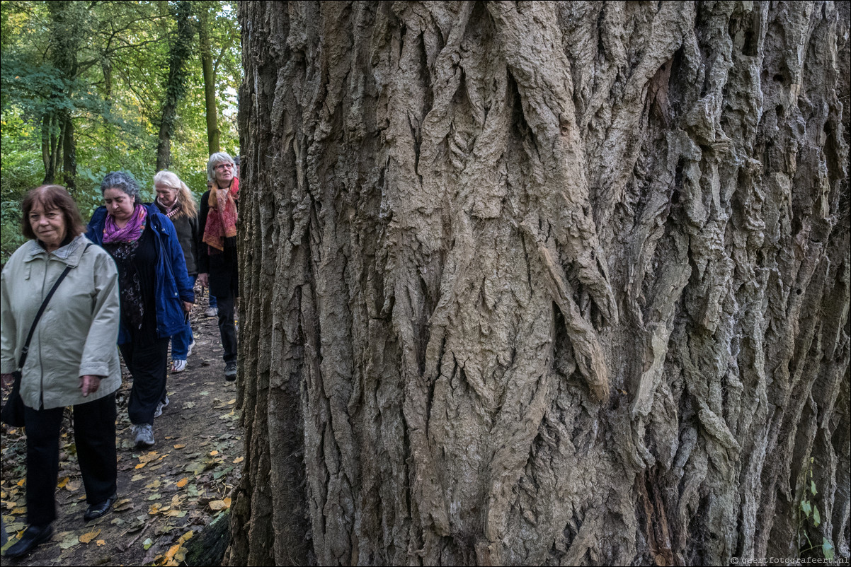 stiltewandeling