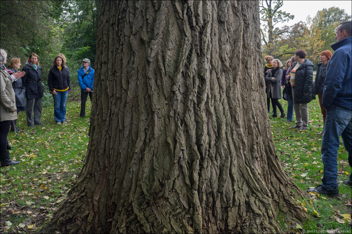 stiltewandeling