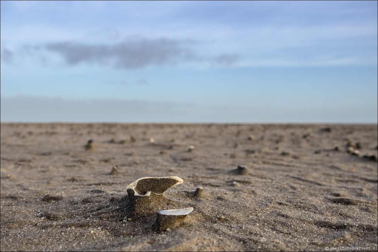 Wandeling Hoek van Holland naar Scheveningen