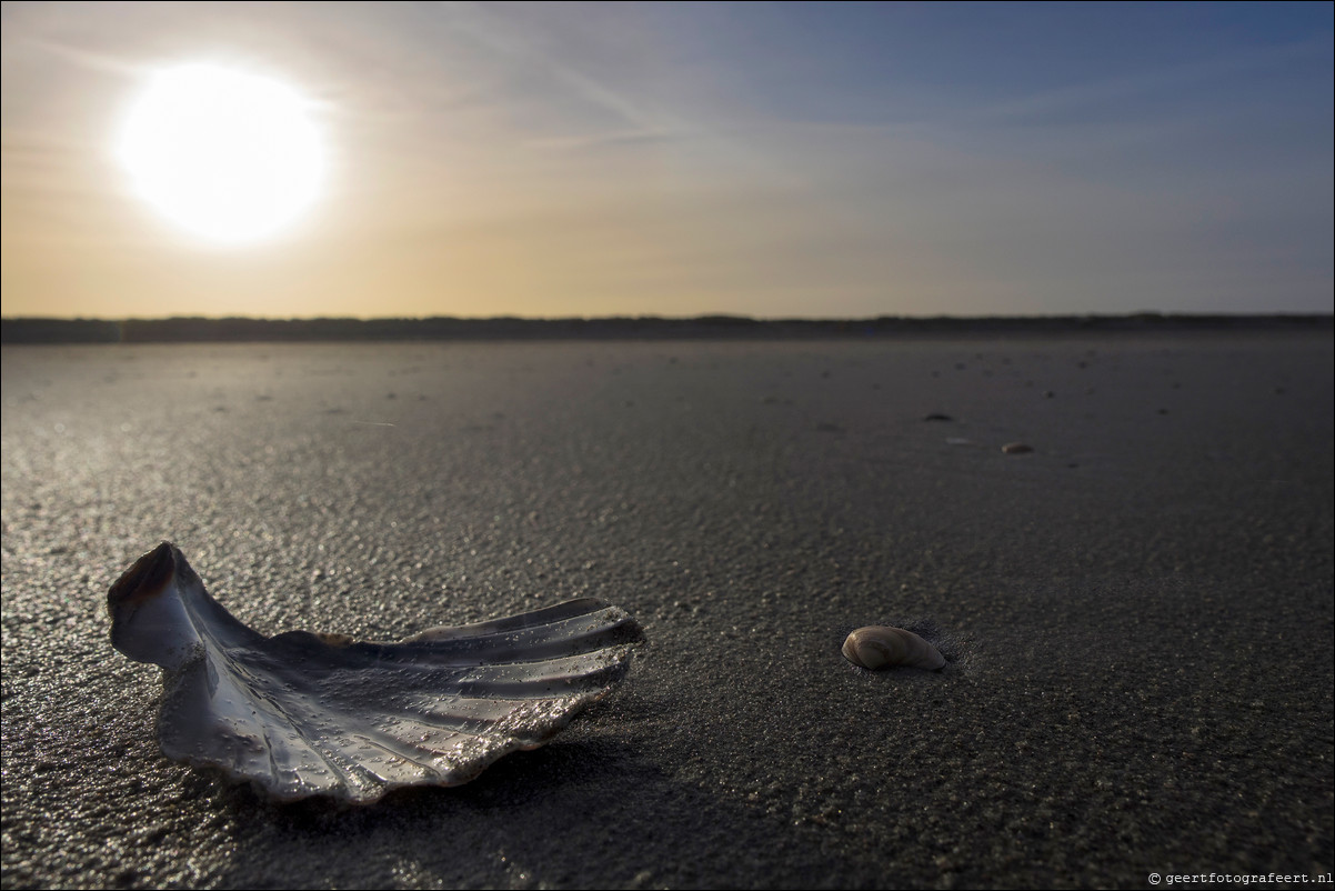 Wandeling Hoek van Holland naar Scheveningen