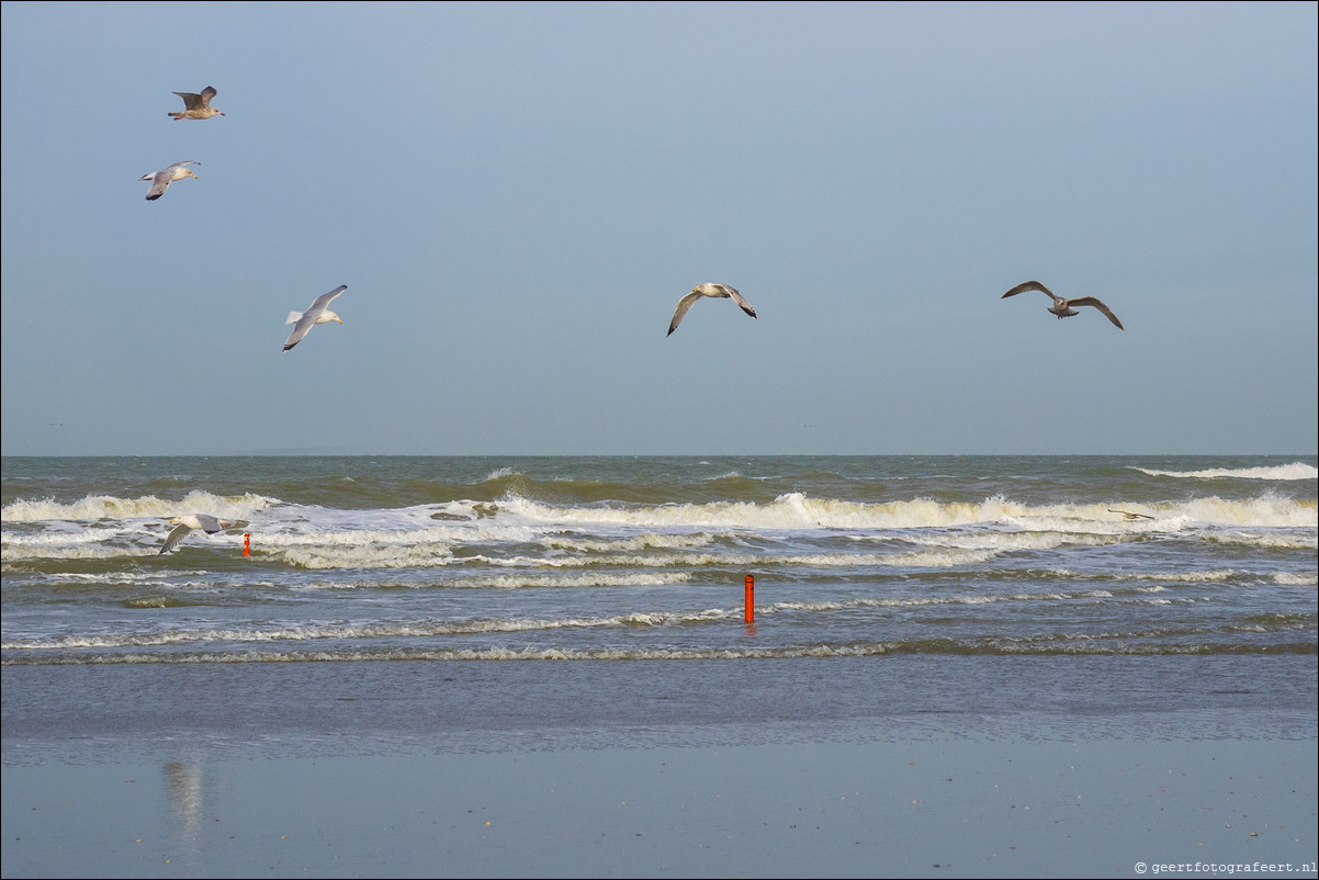 Wandeling Hoek van Holland naar Scheveningen