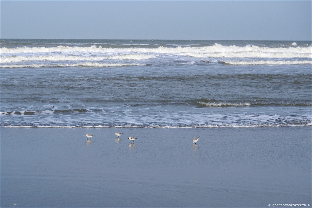 Wandeling Hoek van Holland naar Scheveningen