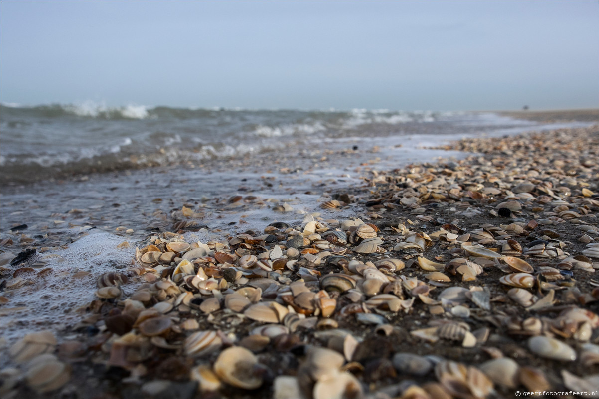 Wandeling Hoek van Holland naar Scheveningen