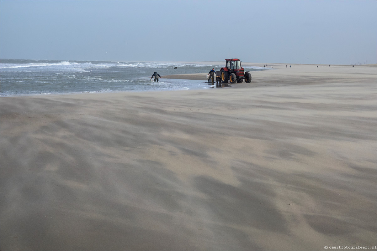 Wandeling Hoek van Holland naar Scheveningen