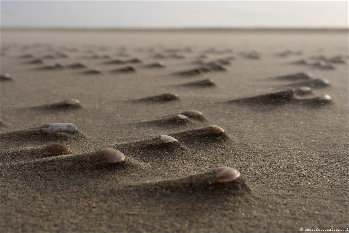 Wandeling Hoek van Holland naar Scheveningen