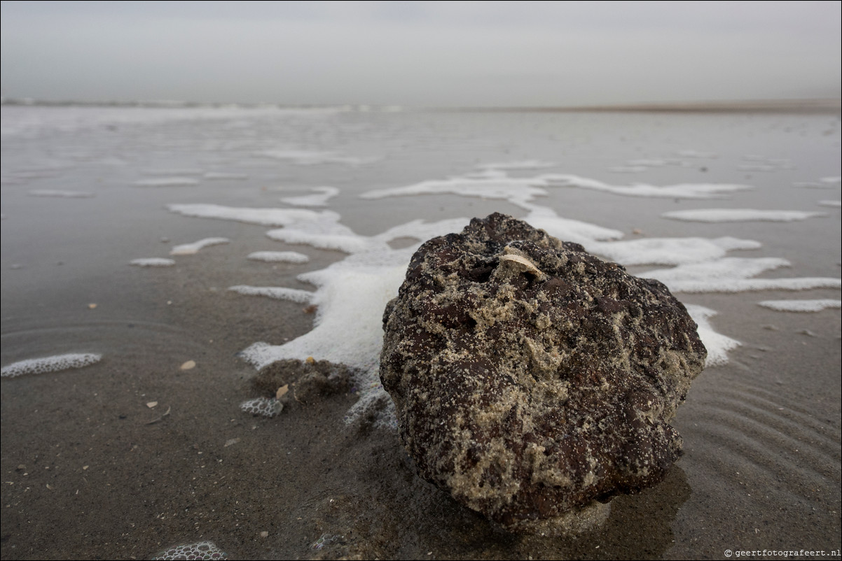 Wandeling Hoek van Holland naar Scheveningen