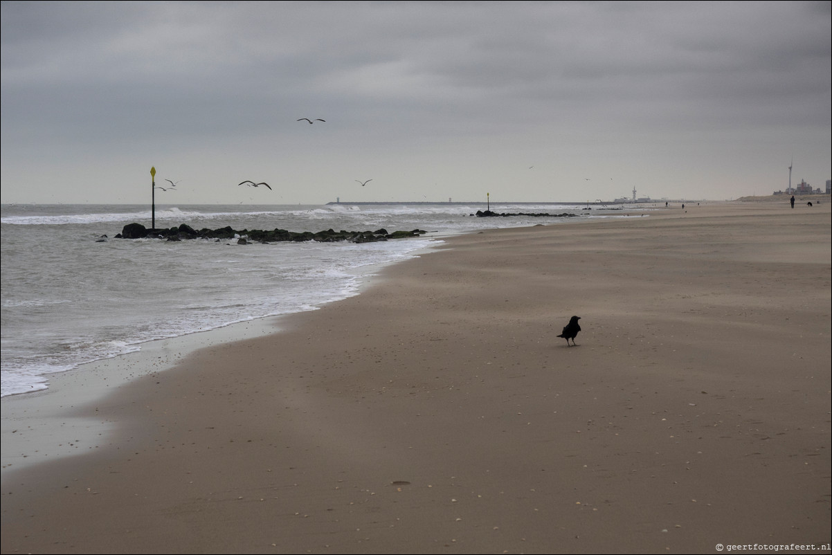 Wandeling Hoek van Holland naar Scheveningen