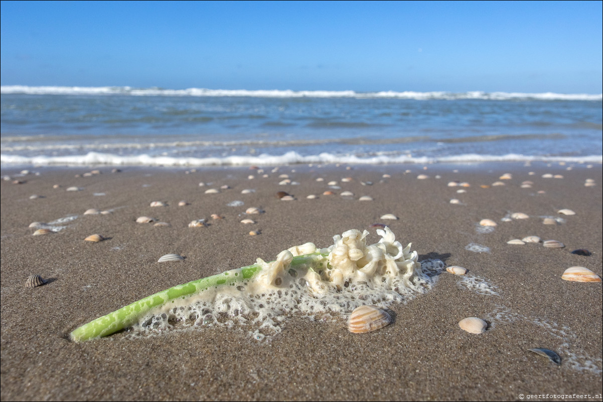 Wandeling Scheveningen - Katwijk