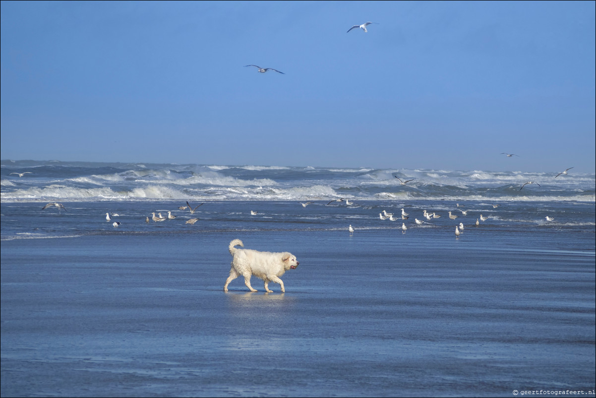 Wandeling Scheveningen - Katwijk