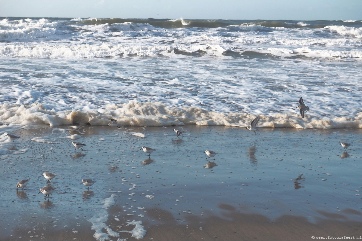 Wandeling Scheveningen - Katwijk