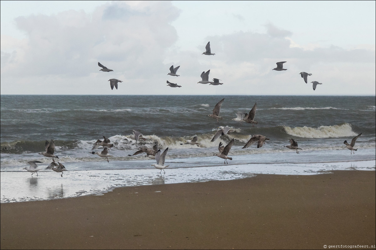 Wandeling Katwijk - Zandvoort