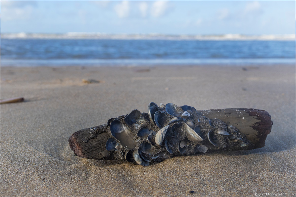 Wandeling Katwijk - Zandvoort