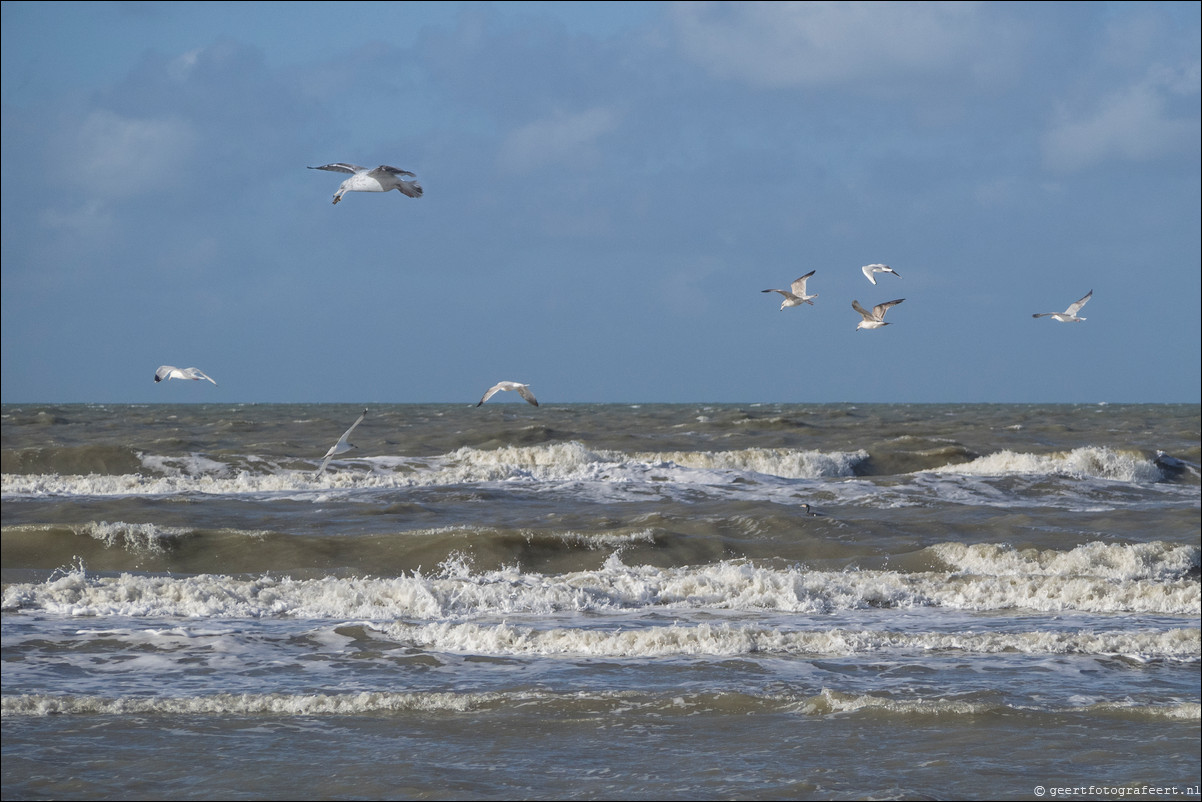 Wandeling Katwijk - Zandvoort