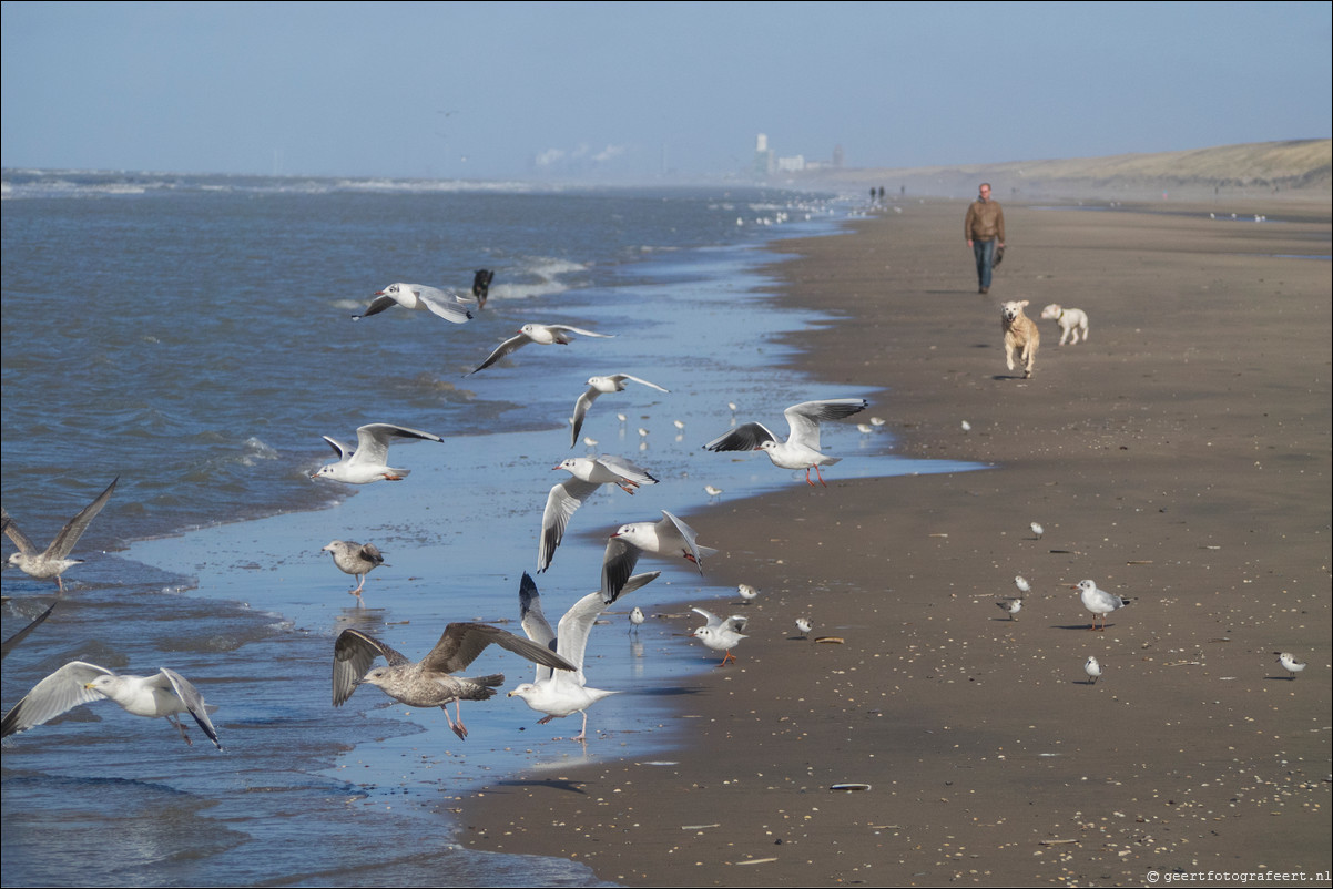 Wandeling Katwijk - Zandvoort