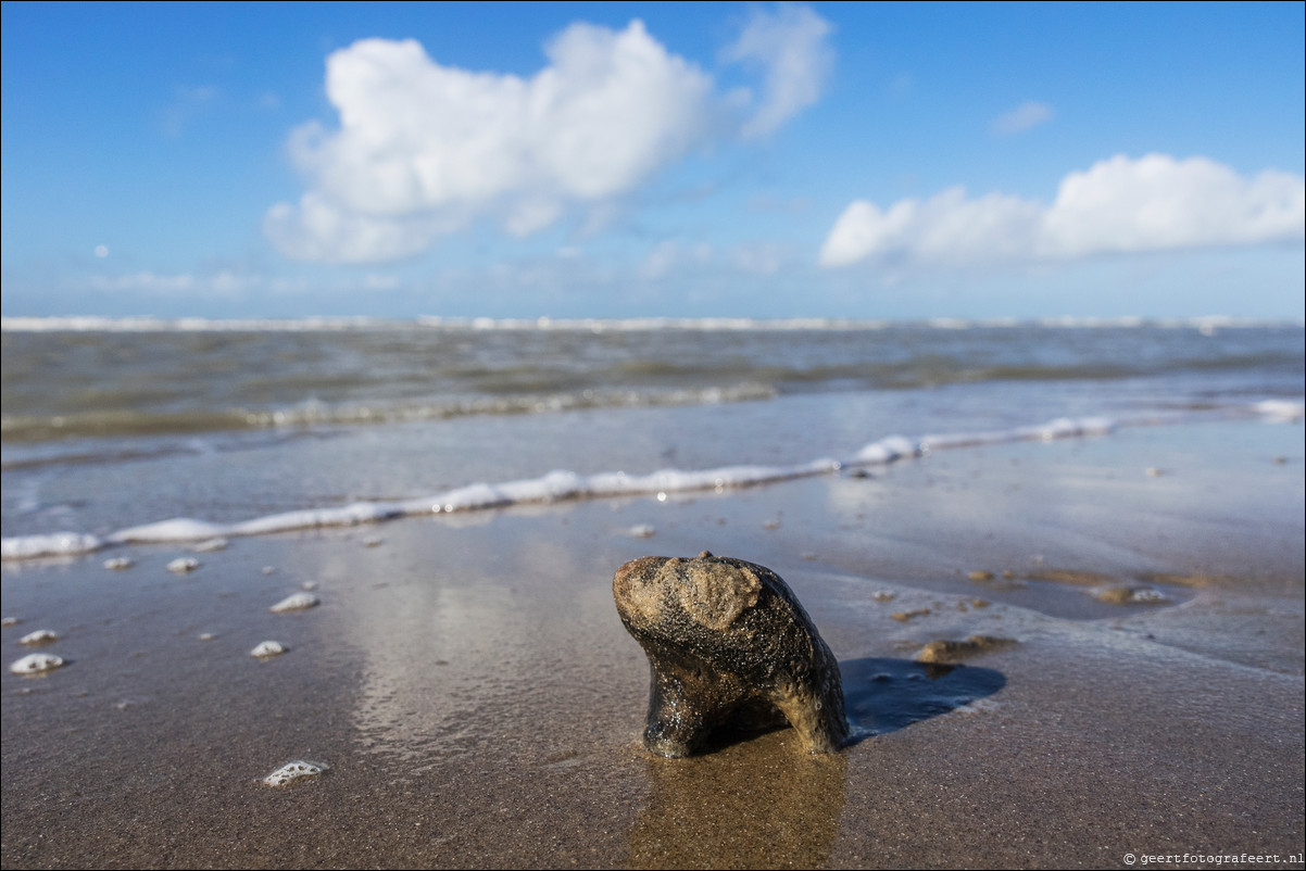 Wandeling Katwijk - Zandvoort