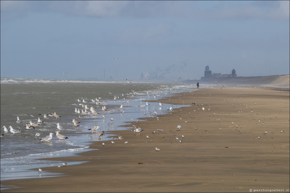 Wandeling Katwijk - Zandvoort