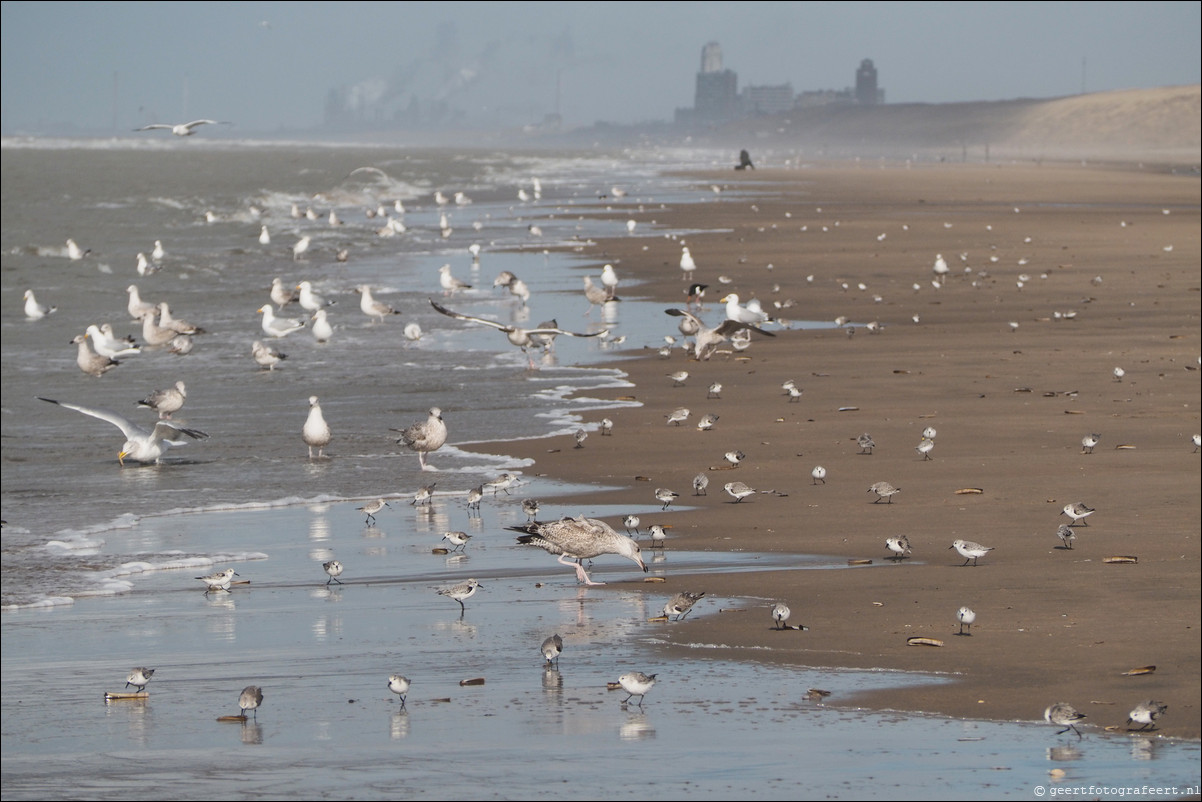 Wandeling Katwijk - Zandvoort