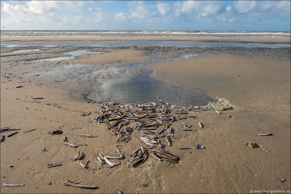 Wandeling Katwijk - Zandvoort