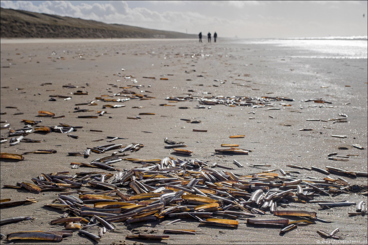 Wandeling Katwijk - Zandvoort