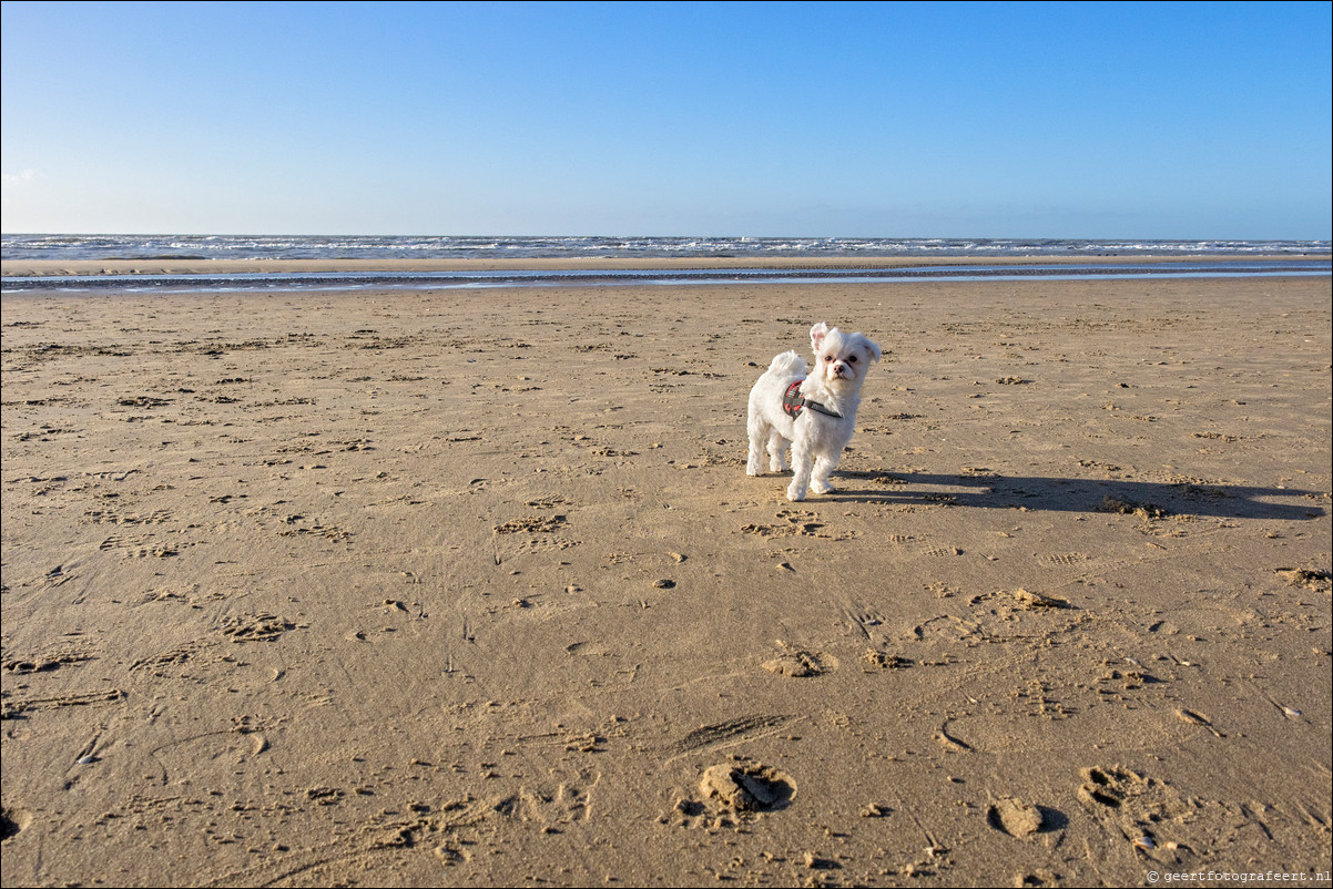 Wandeling Katwijk - Zandvoort