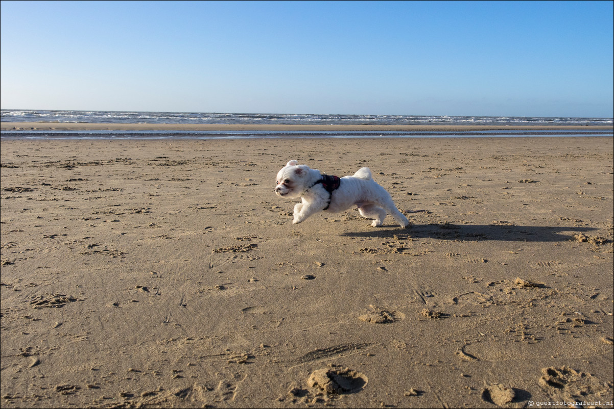 Wandeling Katwijk - Zandvoort