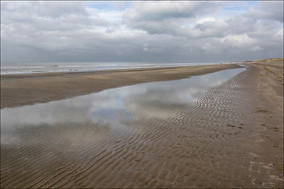 noordzeepad hoek van holland - den helder