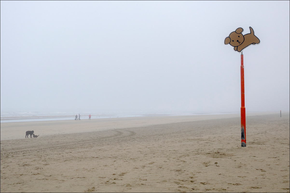 Wandeling Zandvoort - Egmond