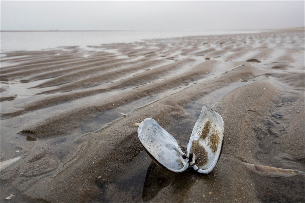 Wandeling Zandvoort - Egmond