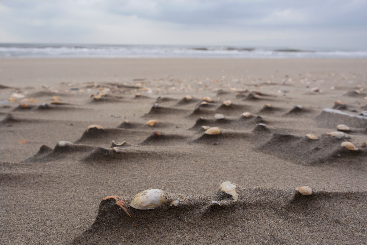 Wandeling Zandvoort - Egmond