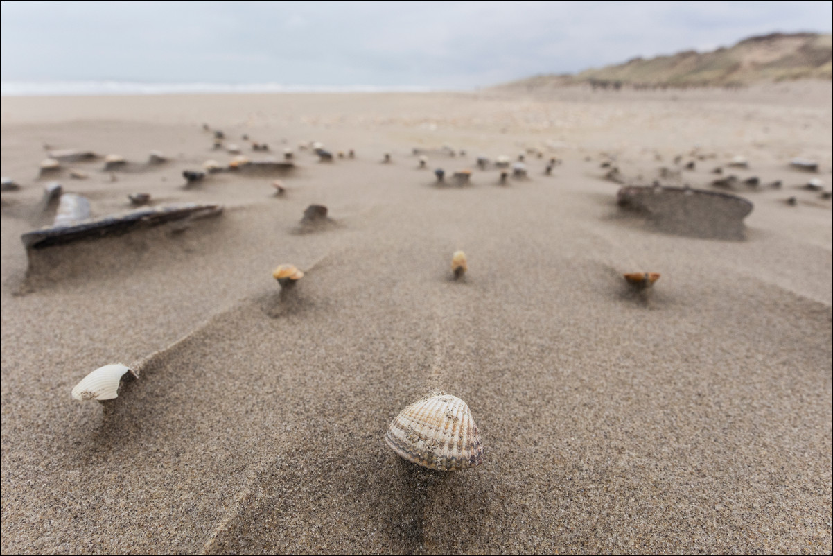 Wandeling Zandvoort - Egmond