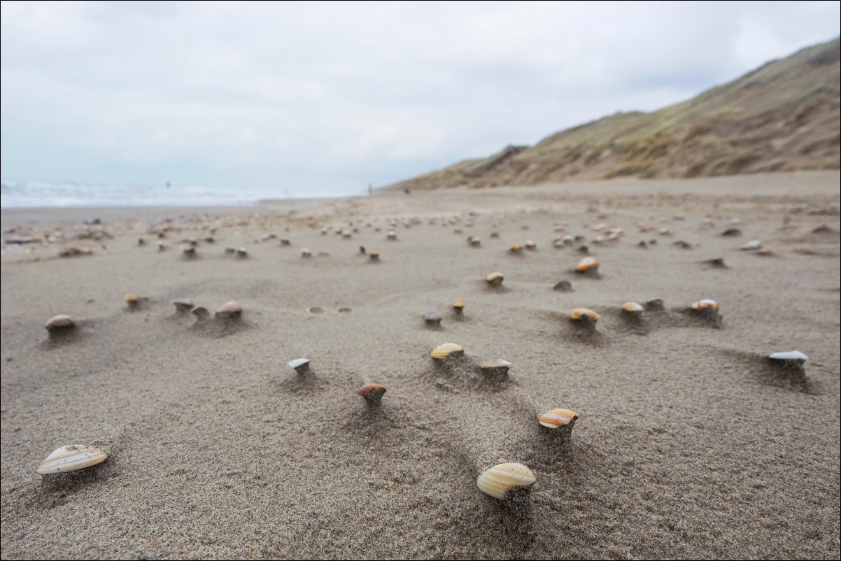 Wandeling Zandvoort - Egmond