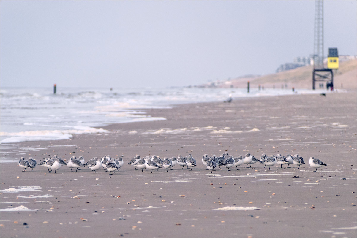 Wandeling Zandvoort - Egmond