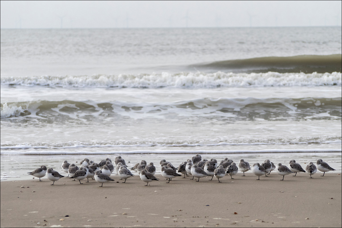 Wandeling Zandvoort - Egmond