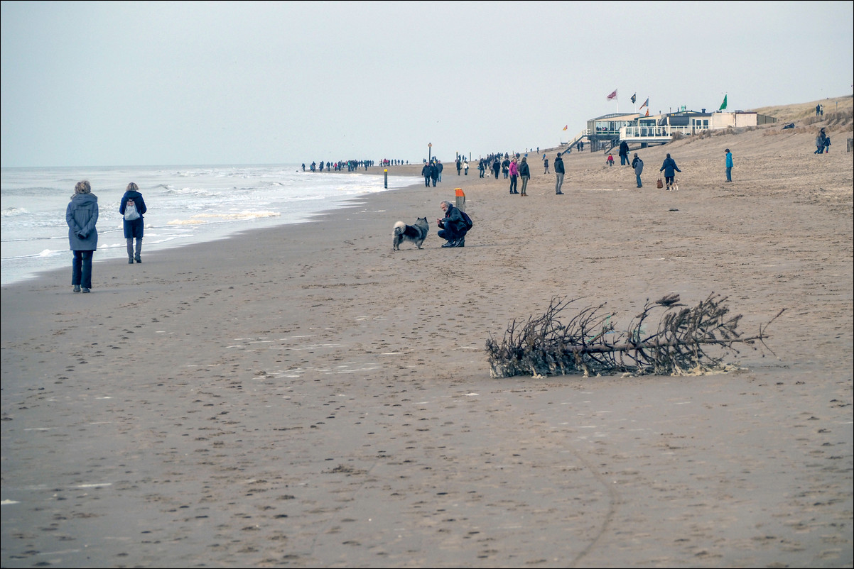 Wandeling Zandvoort - Egmond