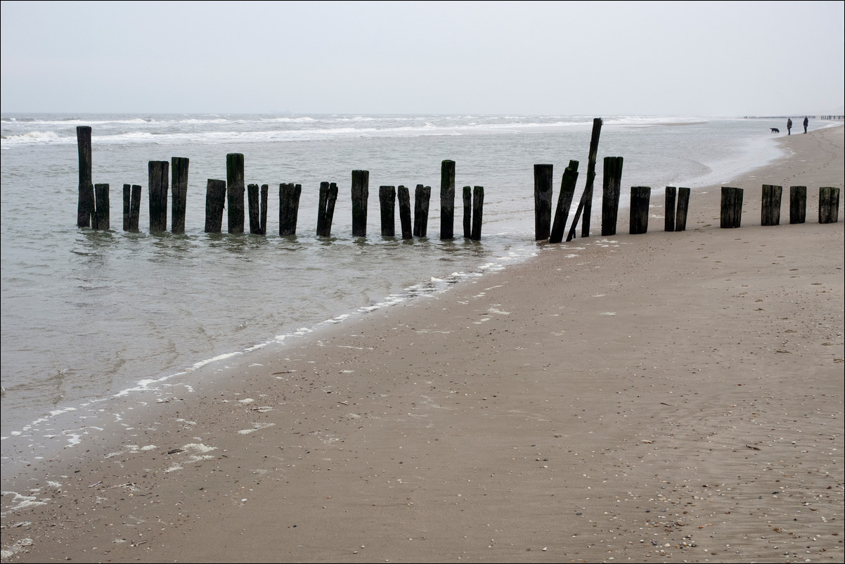 Wandeling Egmond aan Zee - Petten