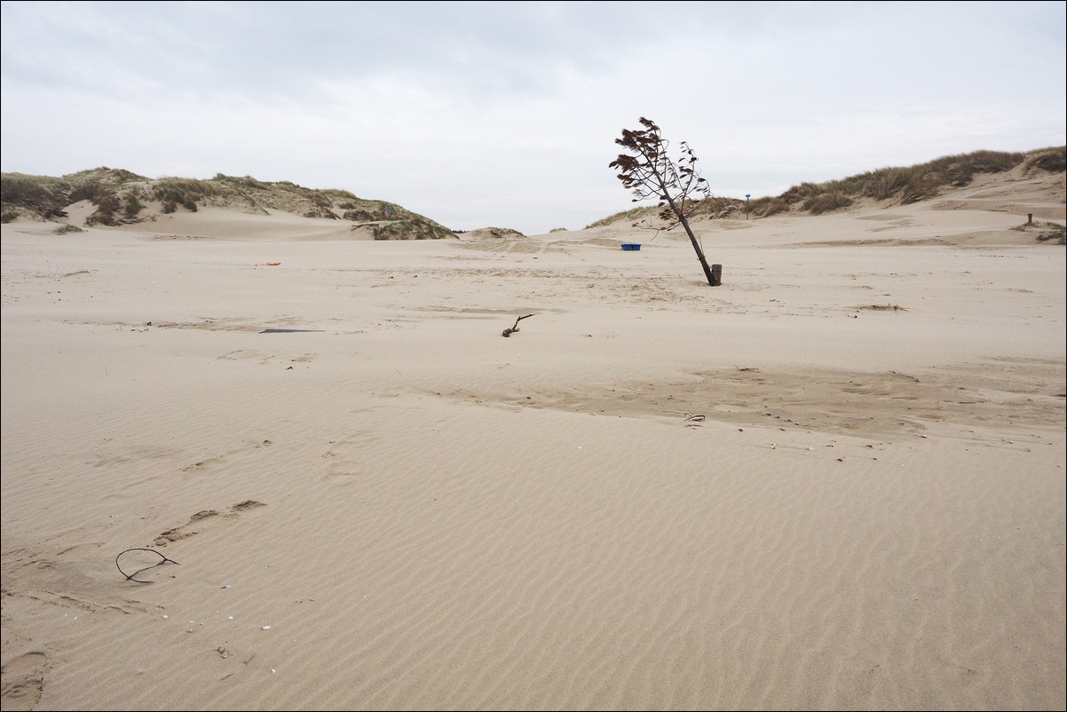 Wandeling Egmond aan Zee - Petten