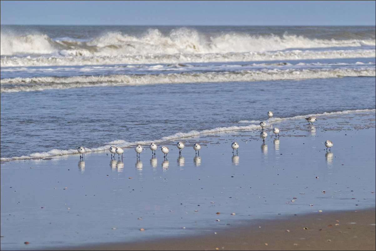 Wandeling Petten - Den Helder