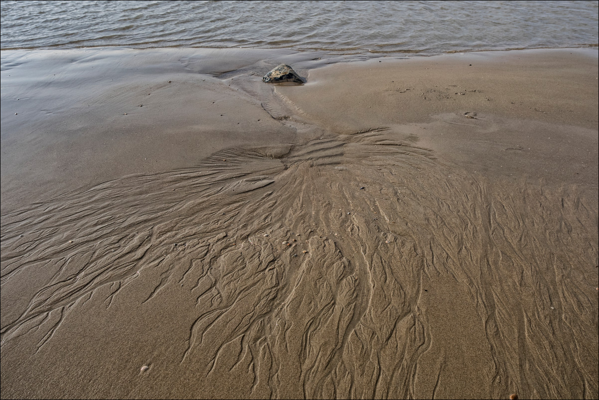 Wandeling Petten - Den Helder